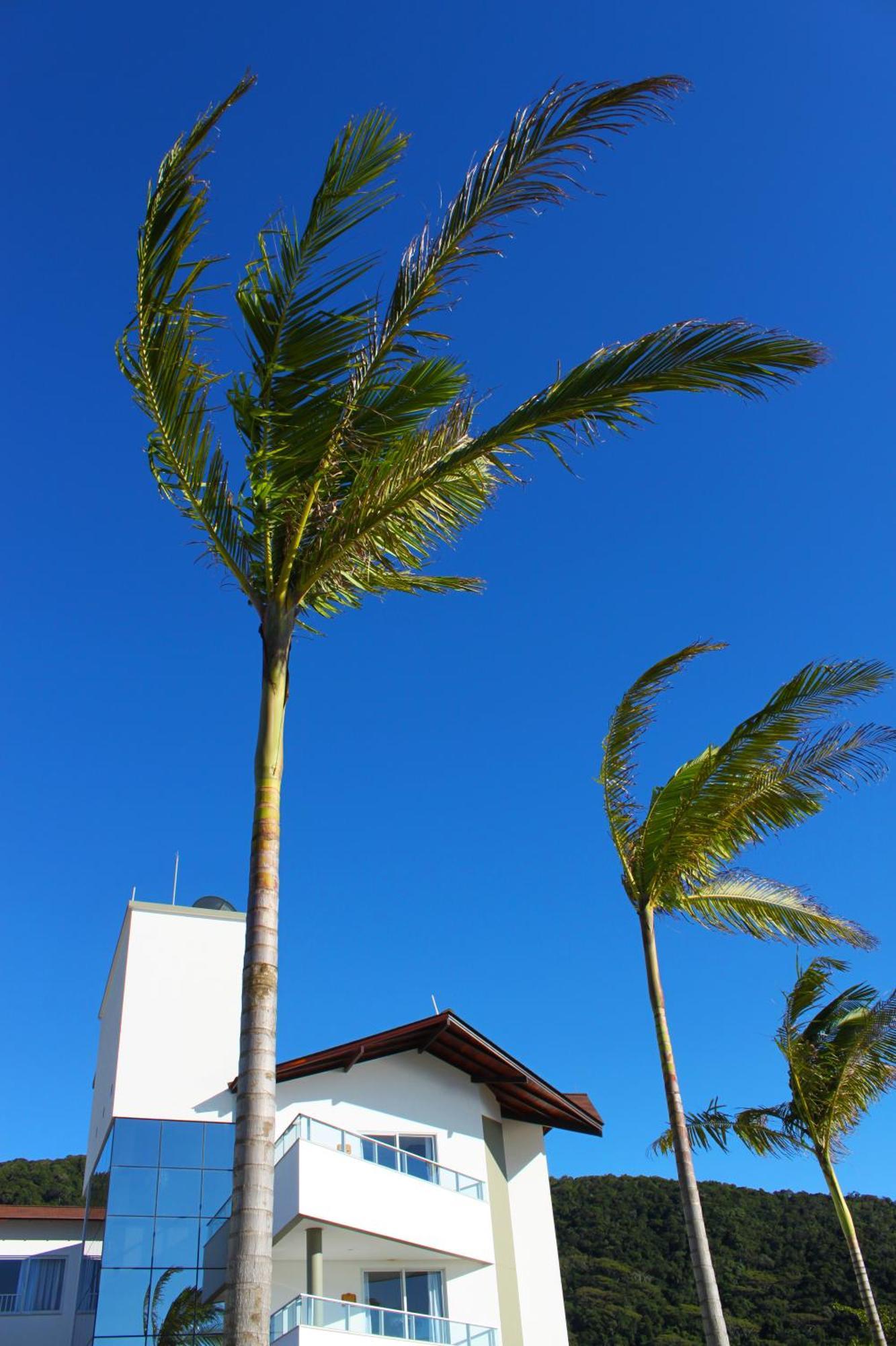 Reserva Praia Hotel Balneário Camboriú Exteriér fotografie